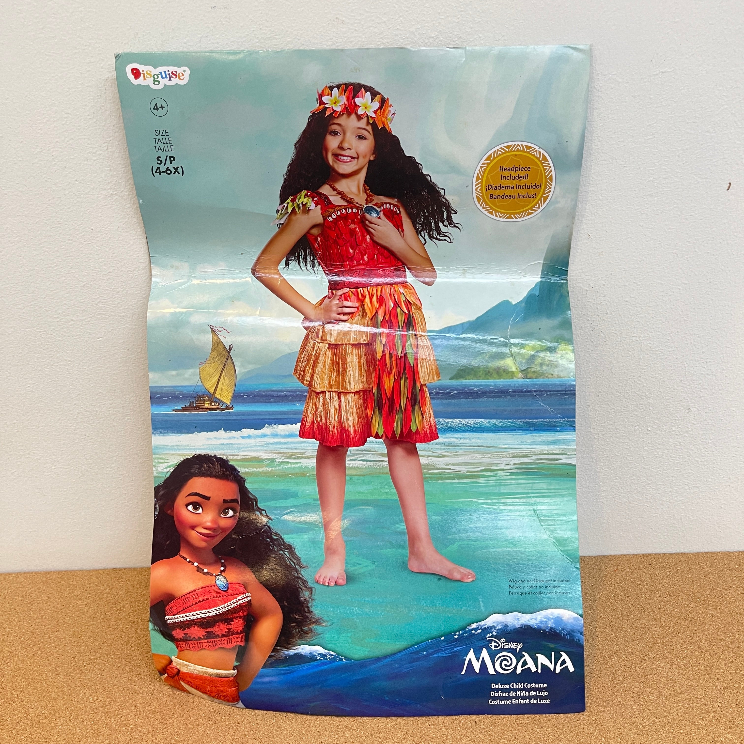 Moana Celebration Costume