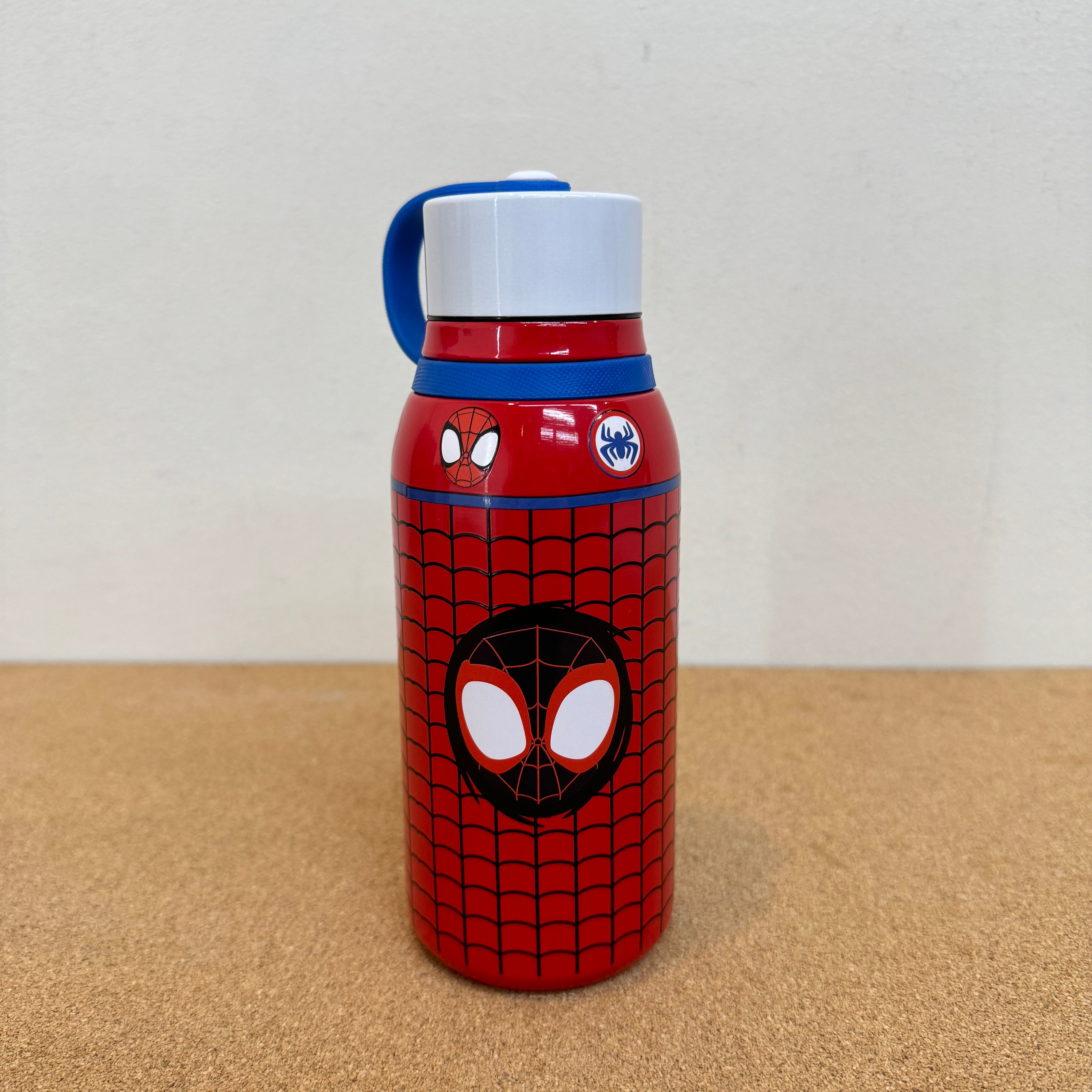 Disney Spidey and His Amazing Friends Stainless Steel Water Bottle 11oz