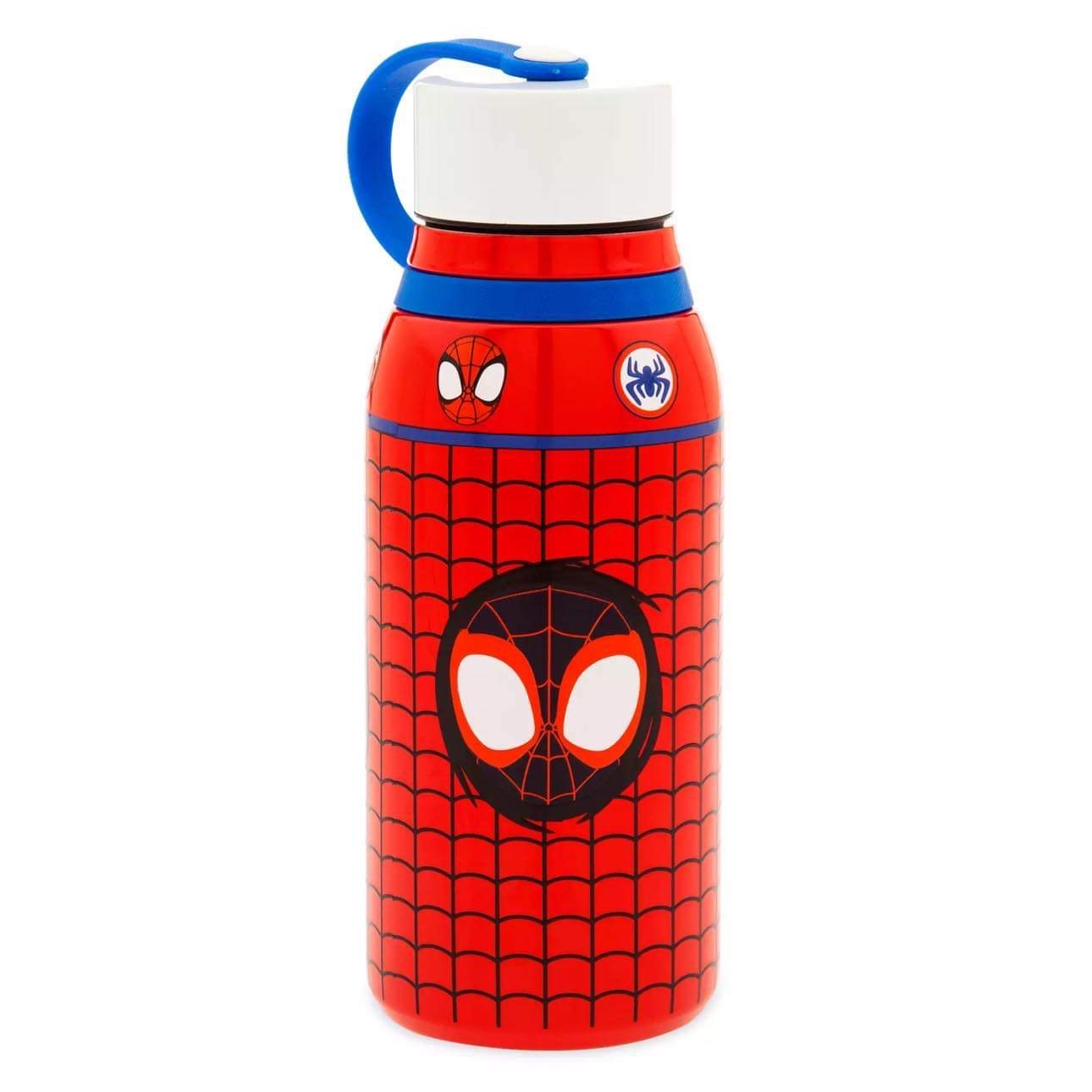 Disney Spidey and His Amazing Friends Stainless Steel Water Bottle 11oz